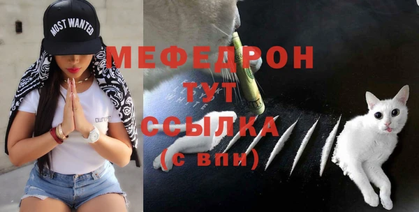 молекула духа Бородино